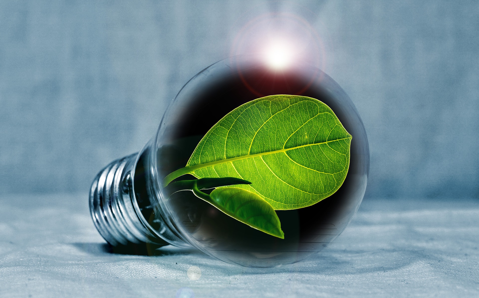 Environmental